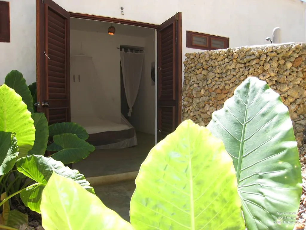 La Cueva Eco-Lodge Las Galeras Casa vacanze